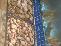 -鹿客臻鲜海鲜自助餐厅(永旺店)