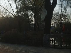 -西安市长乐公园