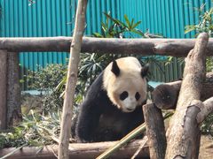 -乐和乐都主题乐园