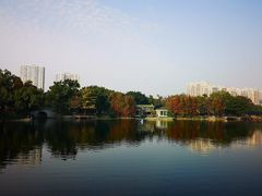 -荔湾湖公园