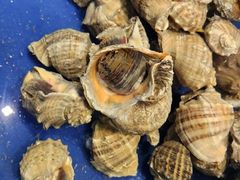 -三亚火车头万人海鲜广场