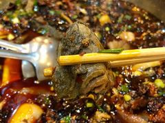 -黑竹香鸡(营和巷店)
