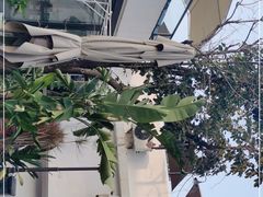 -素心小筑(后沙裕镇店)