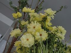 -La Maison 夜来香(进贤路店)