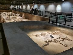 -洛阳周王城天子驾六博物馆