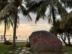 -万绿园
