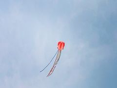 -春花秋色城市公园