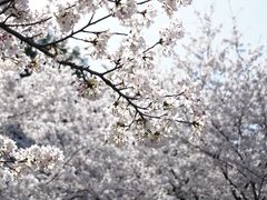 -苏州上方山国家森林公园