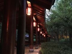 -楼观道温泉酒店