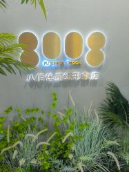 -八佰伴8008星级形象店