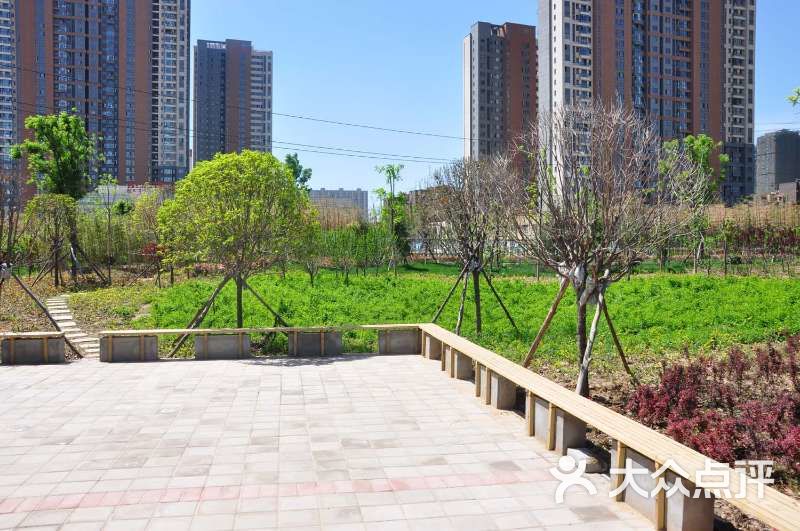 英开体育公园网球场图片