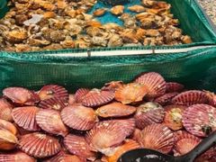 -初色海鲜自助(万丰路店)