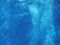 -乐从天佑城海洋馆
