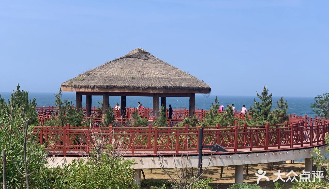 打卡✅抖音网红养马岛🌊🌊