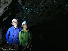 -怀托摩萤火虫洞