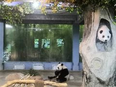 -海南热带野生动植物园