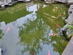 -驿舍·民國老营房院子私房菜(科学会堂店)