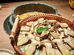 -蘑界·野生菌火锅(深业上城店)