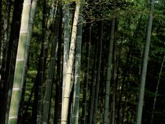 -黄公望隐居地