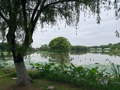 -梁鸿国家湿地公园