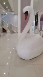 -贯日漂亮宝贝儿童摄影