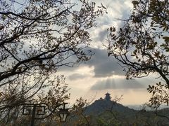 -杭州半山国家森林公园