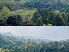 -成都蒲江花样年福朋喜来登度假酒店·宜客乐西餐厅