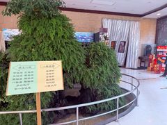 -月坛宾馆-聚仙楼餐厅