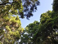 -深圳国际园林花卉博览园