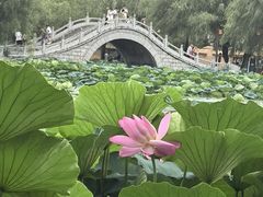 -长春市南湖公园