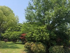 -贡湖湾湿地公园