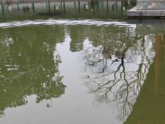 -香山公园