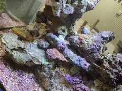 -K·Kitchen KK牛扒厨房(江南西店)