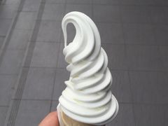 -麦当劳(曲阳店)