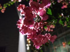 -三溪村