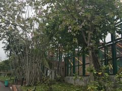 -纪念孙中山市政公园