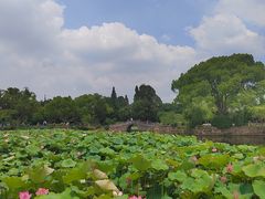 -无锡蠡湖国家湿地公园-蠡园