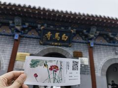 -洛阳白马寺