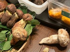 -季季山·云南野生菌火锅(上海首店)