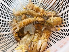 -马路边上·小海鲜烧烤(八一路店)