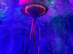 -沈阳海洋探索中心