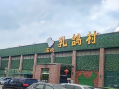 -石岐乳鸽村(南海第三分店)