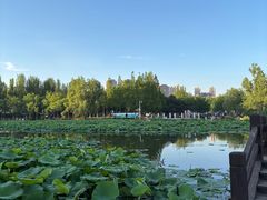 -前关湿地公园