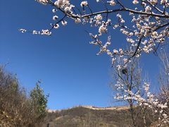 -蟠龙山长城景区