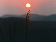 -Apple零售店(成都太古里店)