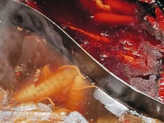 -蜀大侠火锅(总府路店)