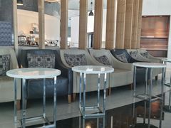 -虹桥机场国航贵宾室v8