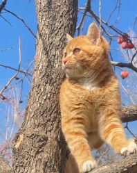 -意然瑜伽·普拉提