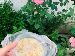 -潘玉麟糖粥