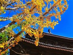 -清凉寺